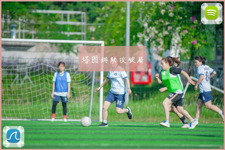 塔图姆助攻破局 - 开云官网
