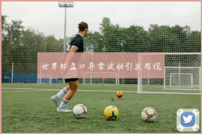 世界杯盘口异常波动引发恐慌 - 开云官网