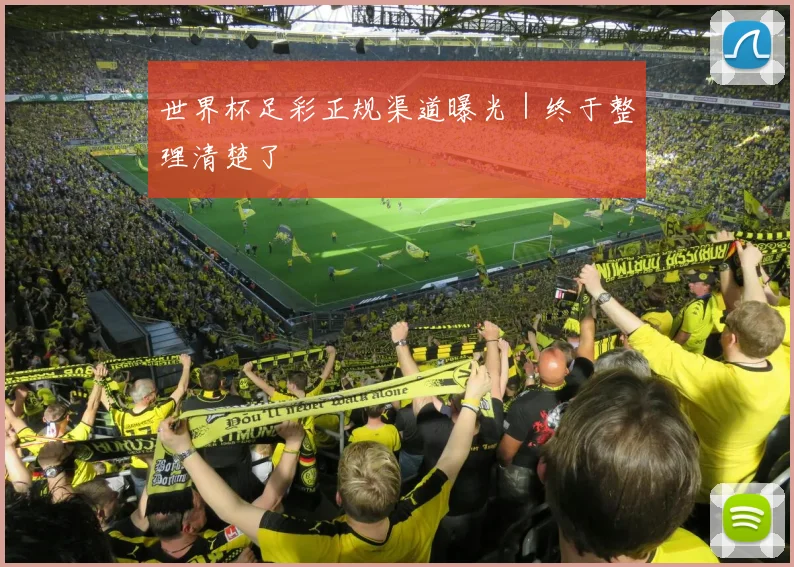 世界杯足彩正规渠道曝光｜终于整理清楚了 - 开云官网