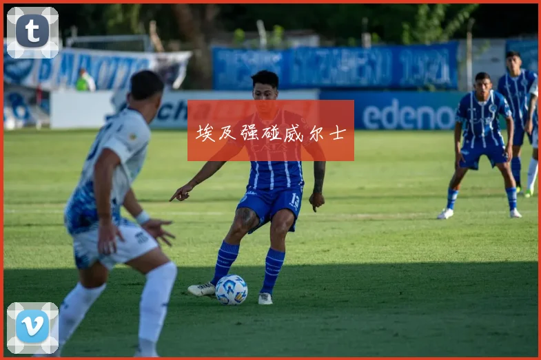 埃及强碰威尔士 - 开云官网
