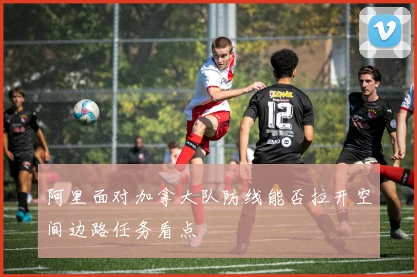 阿里面对加拿大队防线能否拉开空间边路任务看点 - 开云官网