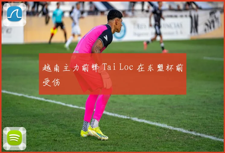 越南主力前锋 Tai Loc 在东盟杯前受伤 - 开云官网
