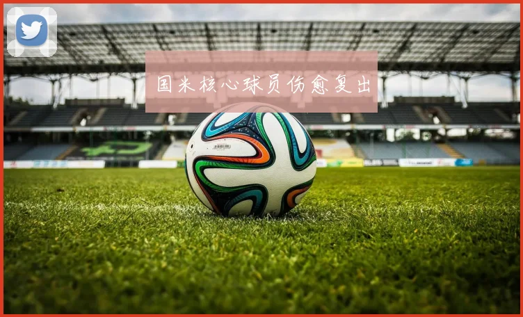 国米核心球员伤愈复出 - 开云官网