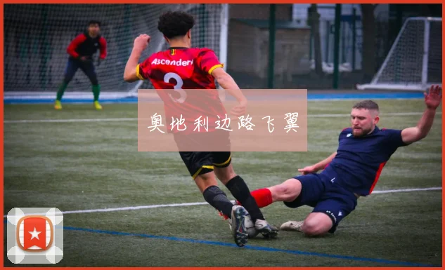 奥地利边路飞翼 - 开云官网
