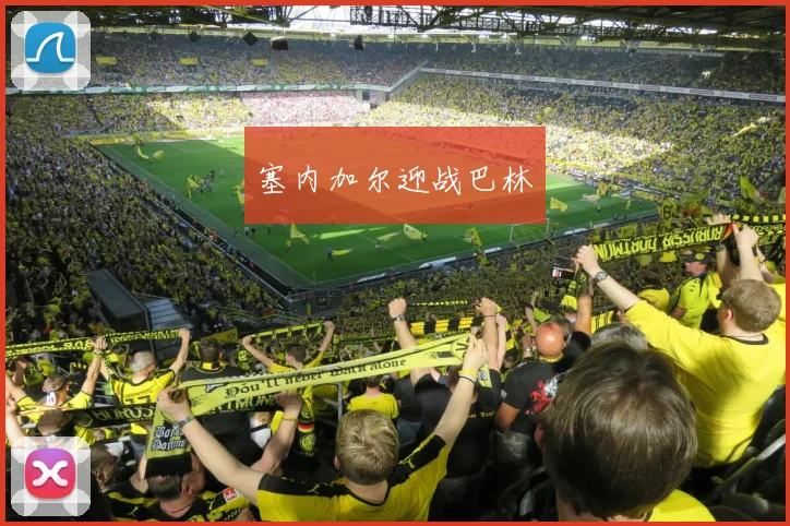 塞内加尔迎战巴林 - 开云官网