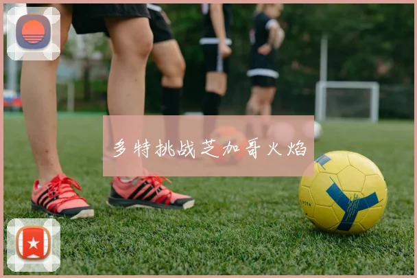 多特挑战芝加哥火焰 - 开云官网