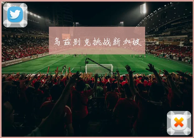 乌兹别克挑战新加坡 - 开云官网