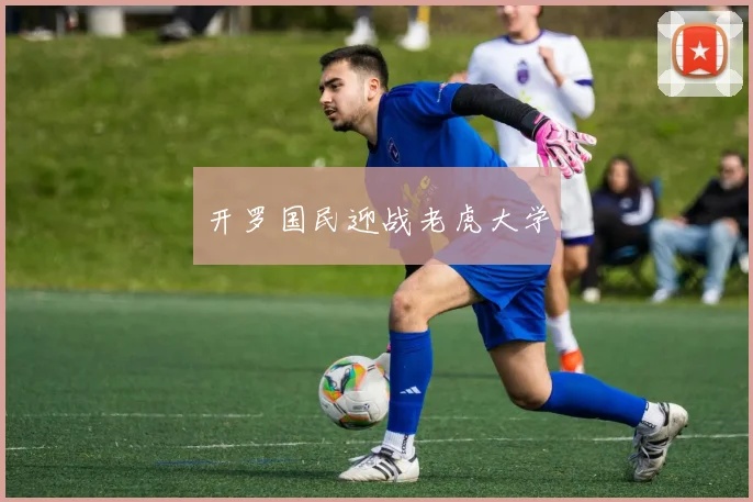 开罗国民迎战老虎大学 - 开云官网