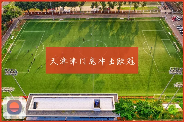 天津津门虎冲击欧冠 - 开云官网