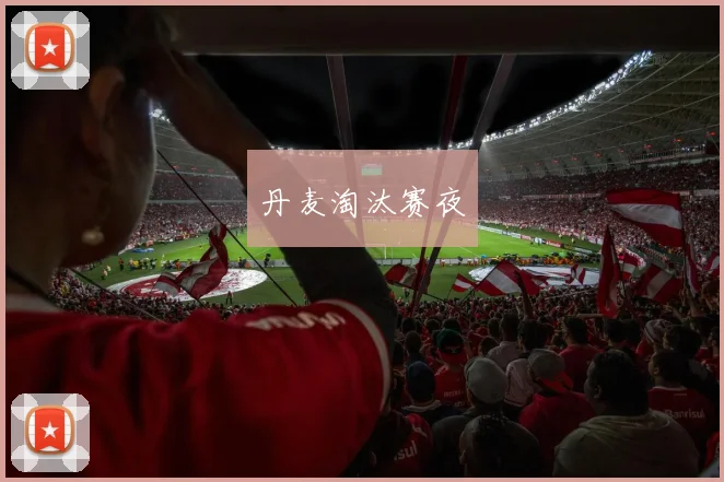 丹麦淘汰赛夜 - 开云官网