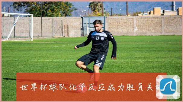世界杯球队化学反应成为胜负关键 - 开云官网
