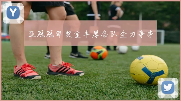 亚冠冠军奖金丰厚各队全力争夺 - 开云官网