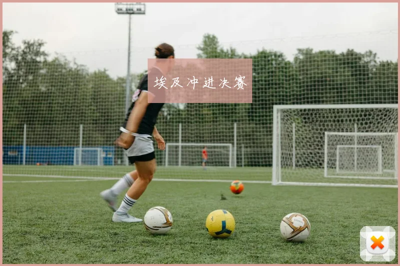 埃及冲进决赛 - 开云官网