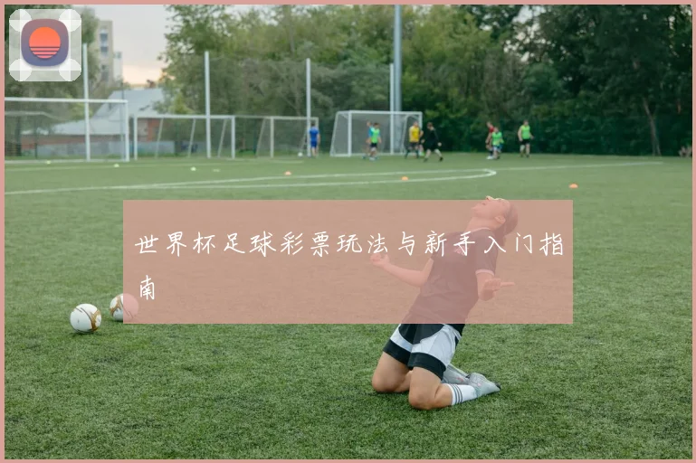 世界杯足球彩票玩法与新手入门指南 - 开云官网