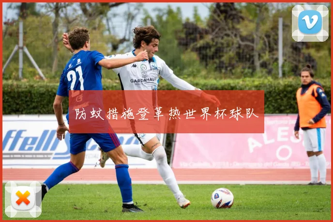 防蚊措施登革热世界杯球队 - 开云官网
