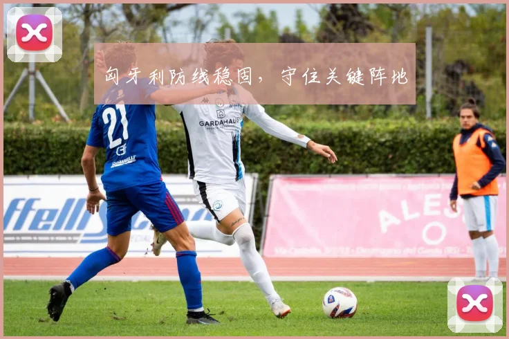 匈牙利防线稳固，守住关键阵地 - 开云官网