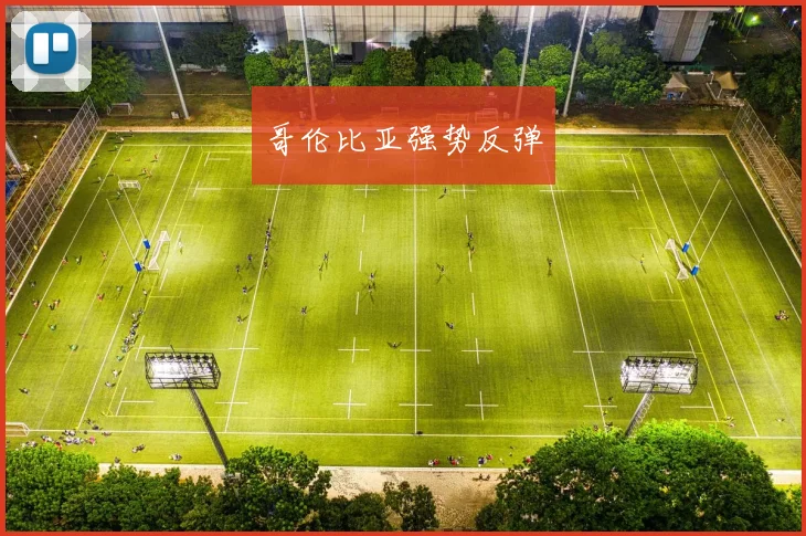 哥伦比亚强势反弹 - 开云官网