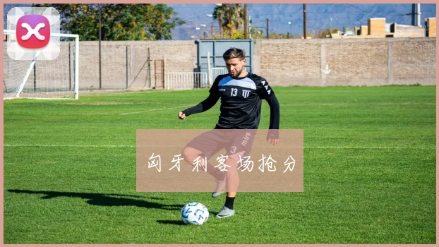 匈牙利客场抢分 - 开云官网