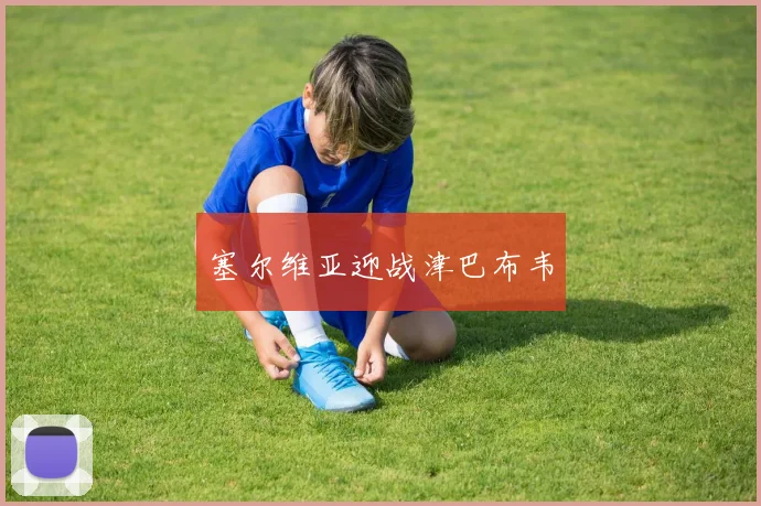 塞尔维亚迎战津巴布韦 - 开云官网