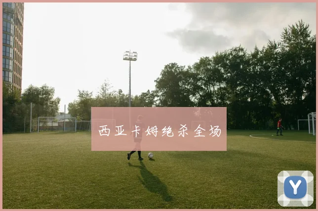 西亚卡姆绝杀全场 - 开云官网