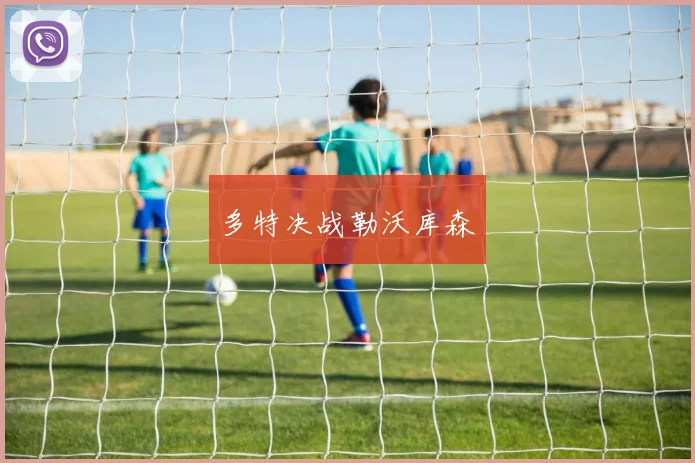 多特决战勒沃库森 - 开云官网