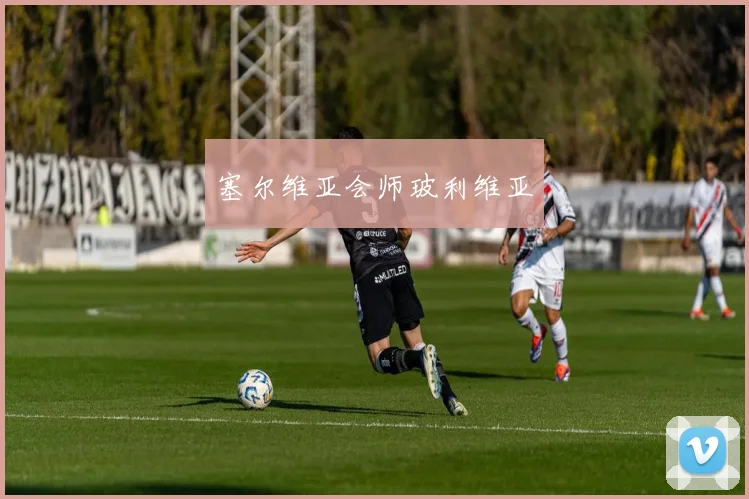 塞尔维亚会师玻利维亚 - 开云官网
